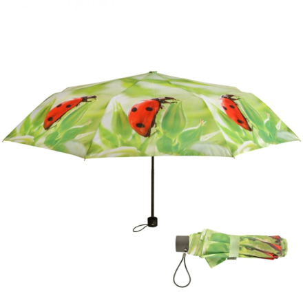 Regenschirm, faltbar